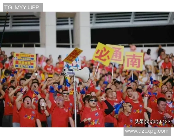 南京排球队战术争议引发热议球迷与专家各执己见分析战术优劣